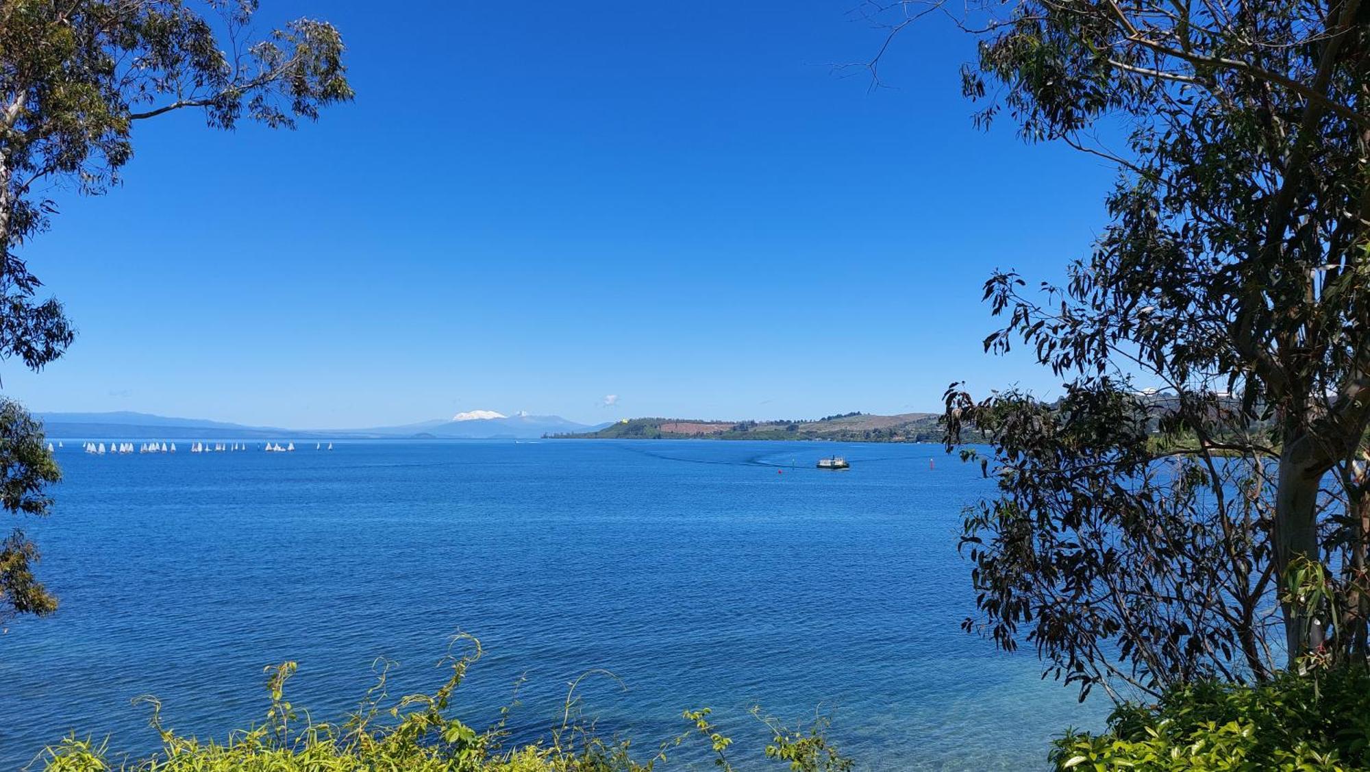 Bed And Breakfast Happy Home Taupo Accommodation 외부 사진